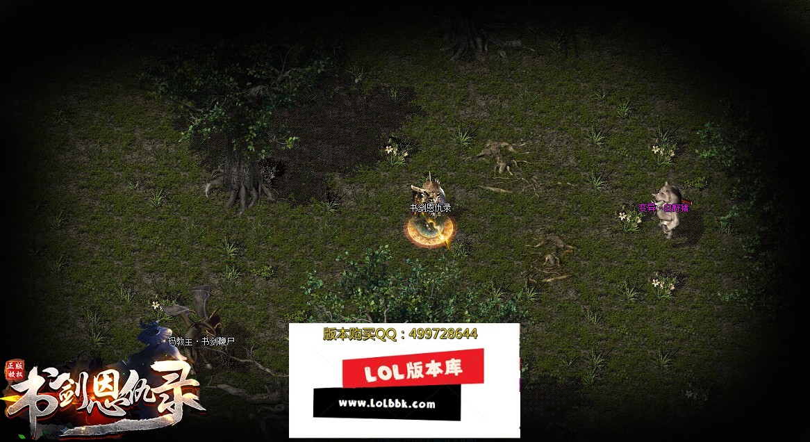 5.jpg
